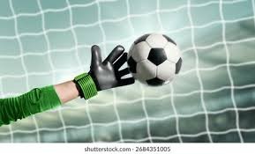 弗拉门戈双冠王，历史第5次同一球队单赛季解放者杯+巴甲夺冠