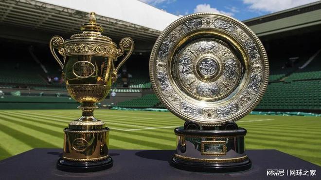 仅能提高运 仅能提高运